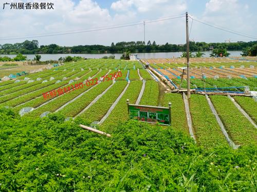 广州工厂食堂承包方案 助力花都区五金厂精准管控食材采购费用